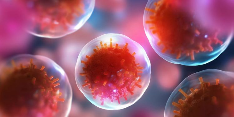 Cellule staminali: un nuovo indicatore di benessere e salute