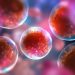 Cellule staminali: un nuovo indicatore di benessere e salute
