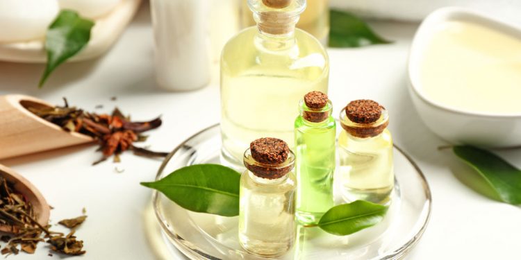 Tea tree oil: scopriamo cos’è e perché sceglierlo