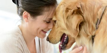 Fare le coccole a un cane aumenta l’attività della corteccia prefrontale