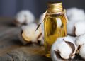 Olio di semi di cotone: un possibile beneficio sulla salute cardiovascolare
