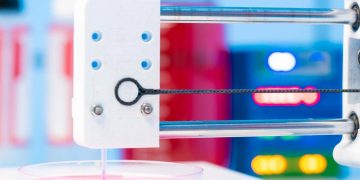 Stampante 3D ed ovaie un connubio promettente