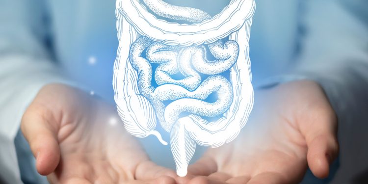 Microbiota Intestinale: Il Guardiano Invisibile della Salute Umana