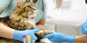 Il Mercato Veterinario tra Crescita e Nuove Strategie: Opportunità per le Farmacie