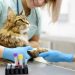 Il Mercato Veterinario tra Crescita e Nuove Strategie: Opportunità per le Farmacie